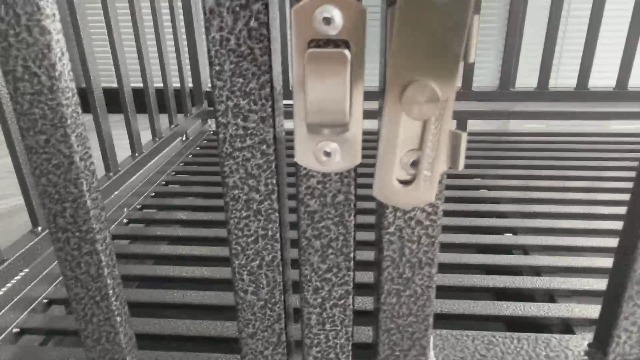 Ultimate Fortress for Your Big Buddy (1)