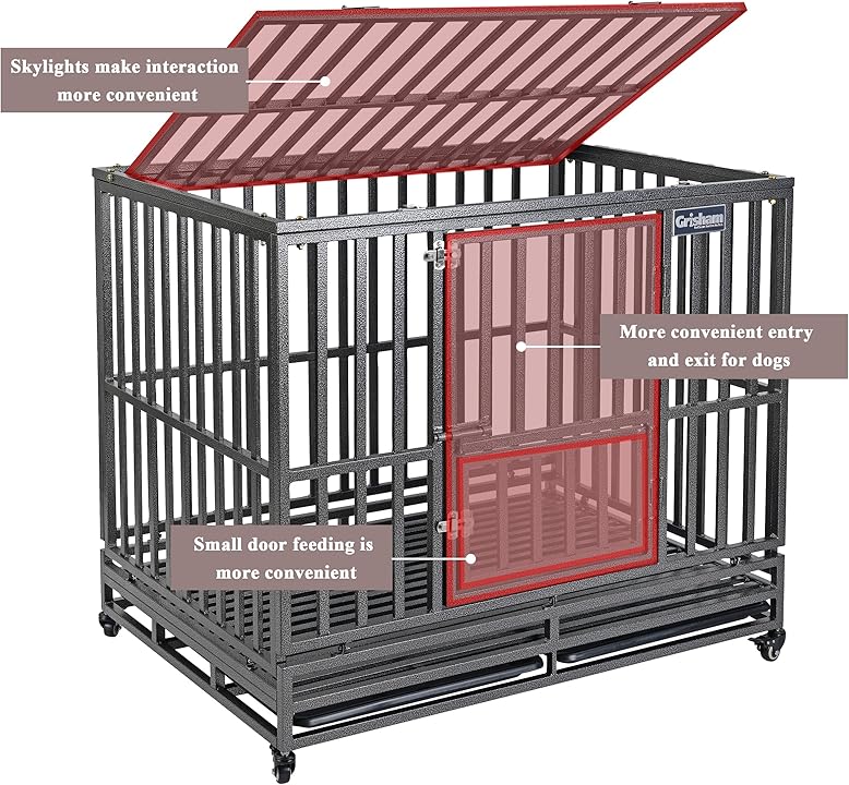 Ultimate Fortress for Your Big Buddy (3)