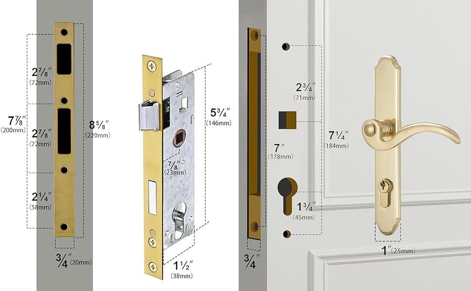 ebce4e58-1384-4c80-bc49-4c42f4a64331.__CR0,477,2500,1546_PT0_SX970_V1