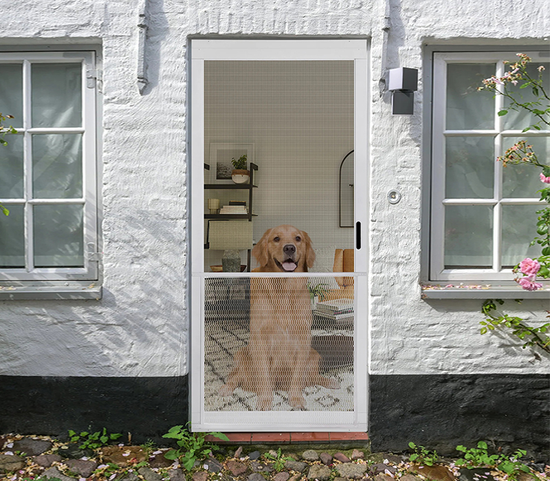 5_119f3ad7-11b8-4a6f-b237-27